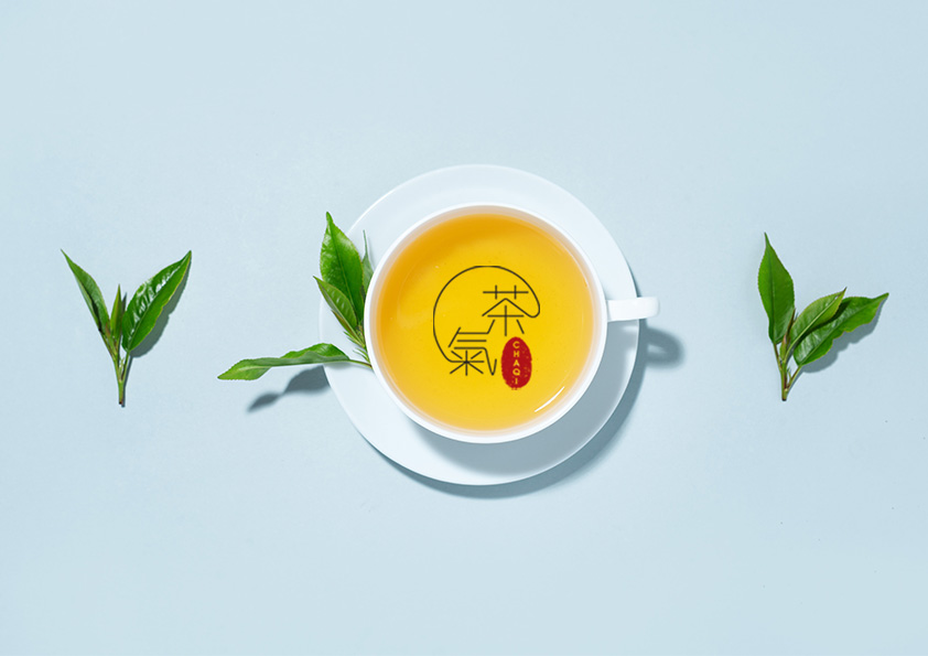CHAQI Branding Strategy - Ink Integrated